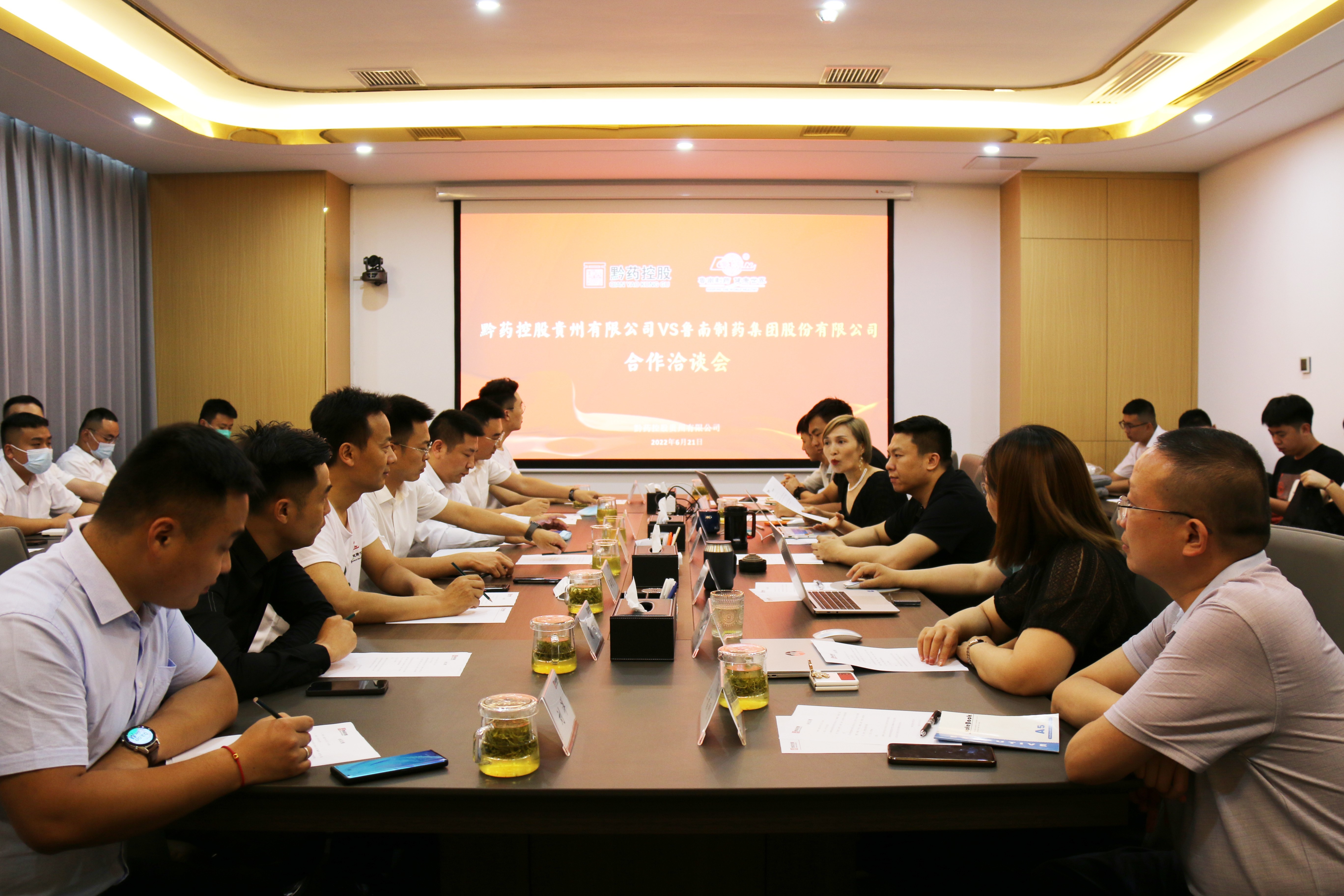 魯南(nán)制藥集團股份有限公司到我司開展戰略合作(zuò)洽談